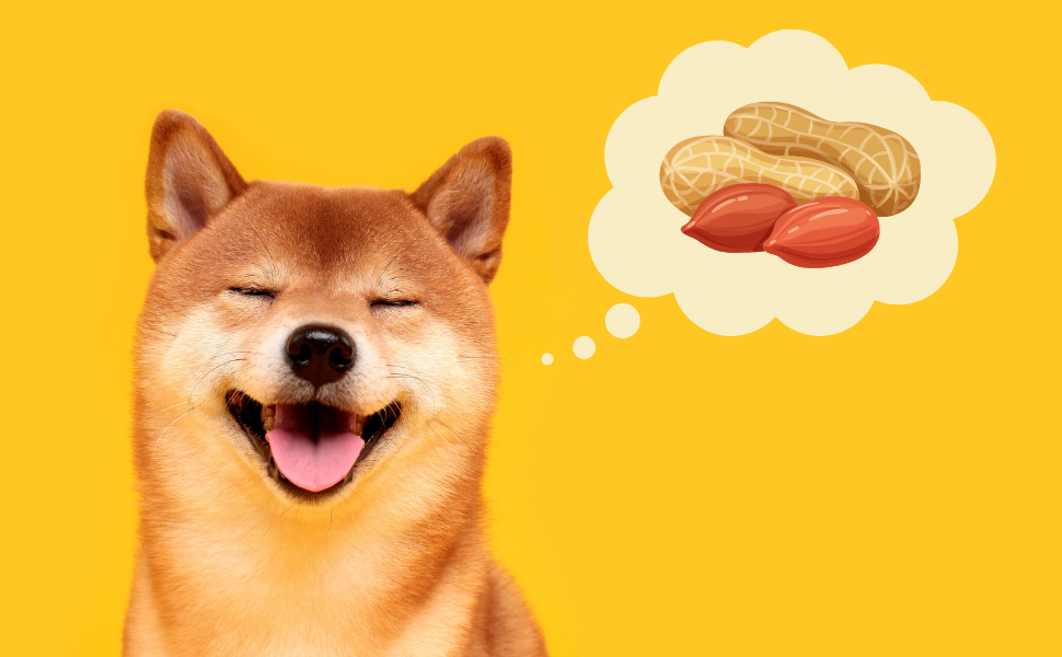 Are peanuts bad store for dogs to eat