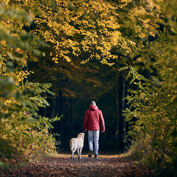 Keeping Your Dog Active in Autumn